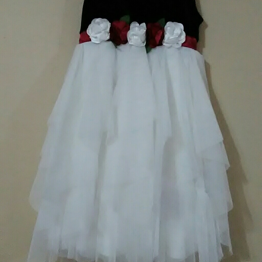 Beautiful Biscotti girls dress size 7